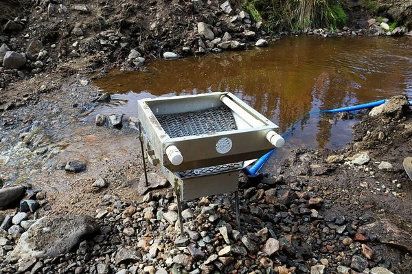 Chercheur d'or : partez à la découverte des Pyrénées Orientales